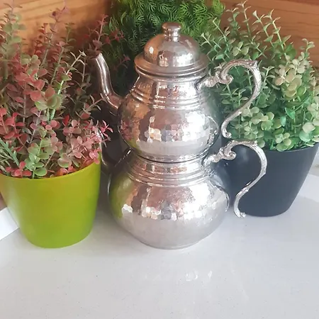 Hotel Linatreehouse Mugla