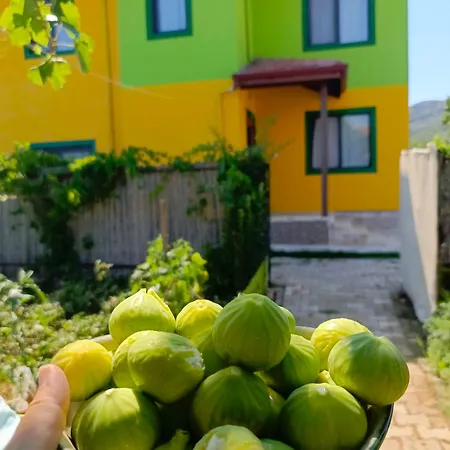 Linatreehouse 4* Mugla