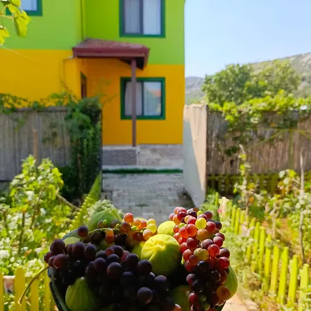 Linatreehouse Hotel 4*